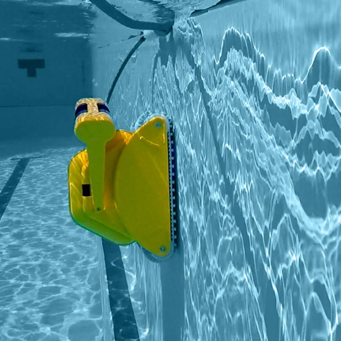 Robot Pulitore Professionale Dolphin PRO X2 per Piscine Interrate di Strutture Ricettive
