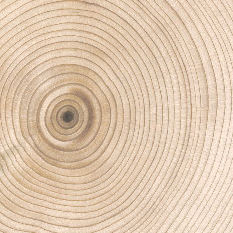 Piscina Fuori Terra in Legno Bali Rettangolare 2024